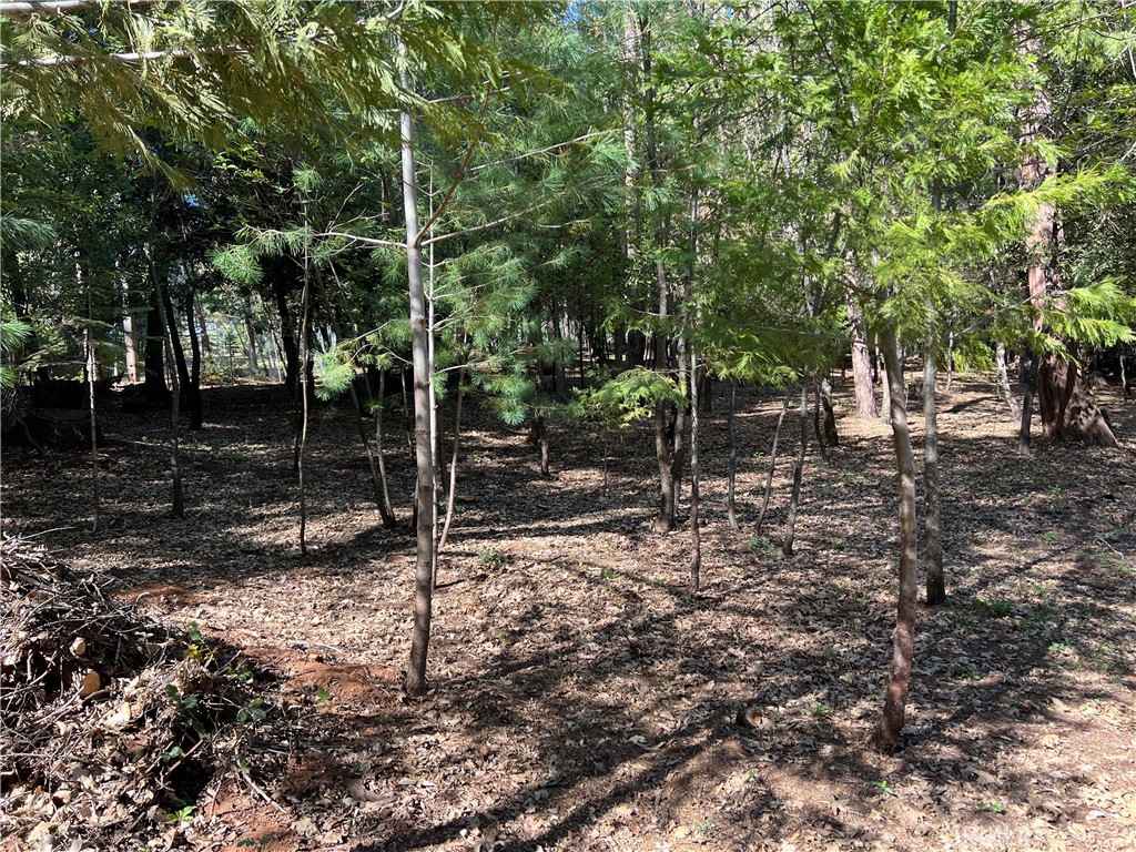 0 Headwaters Road Property Photo 12