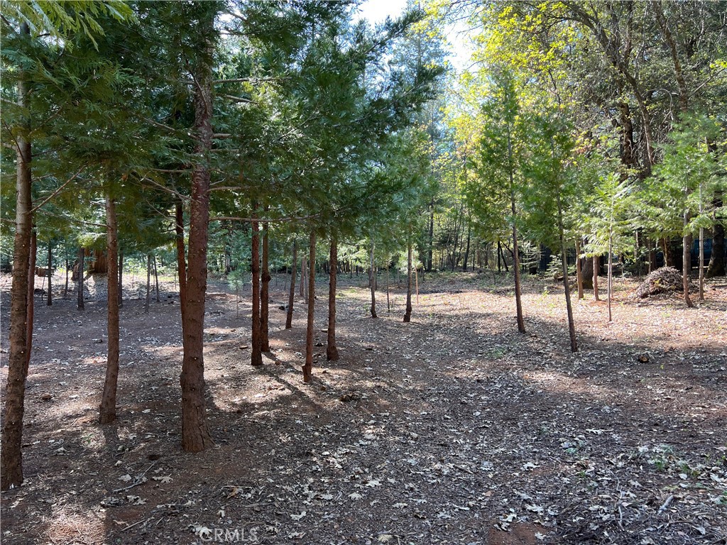 0 Headwaters Road Property Photo 14