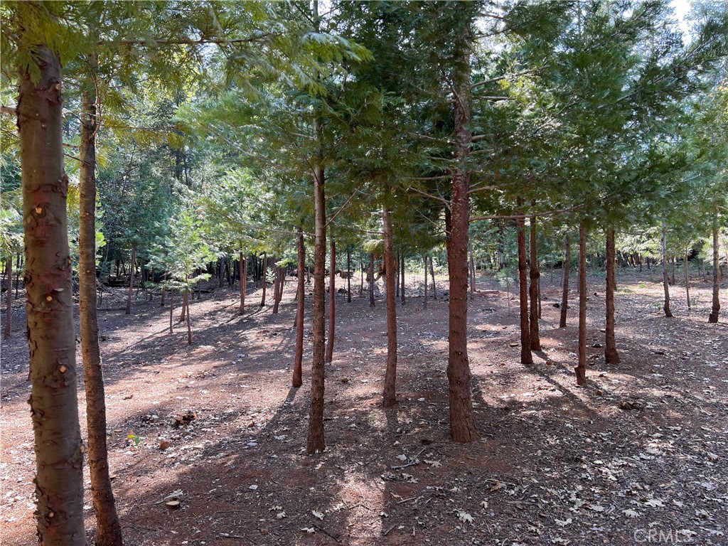 0 Headwaters Road Property Photo 15