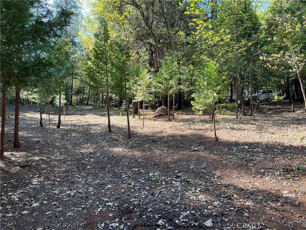 0 Headwaters Road Property Photo 16