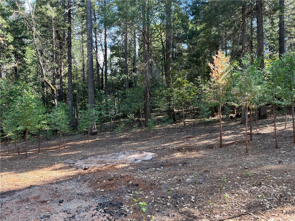 0 Headwaters Road Property Photo 17