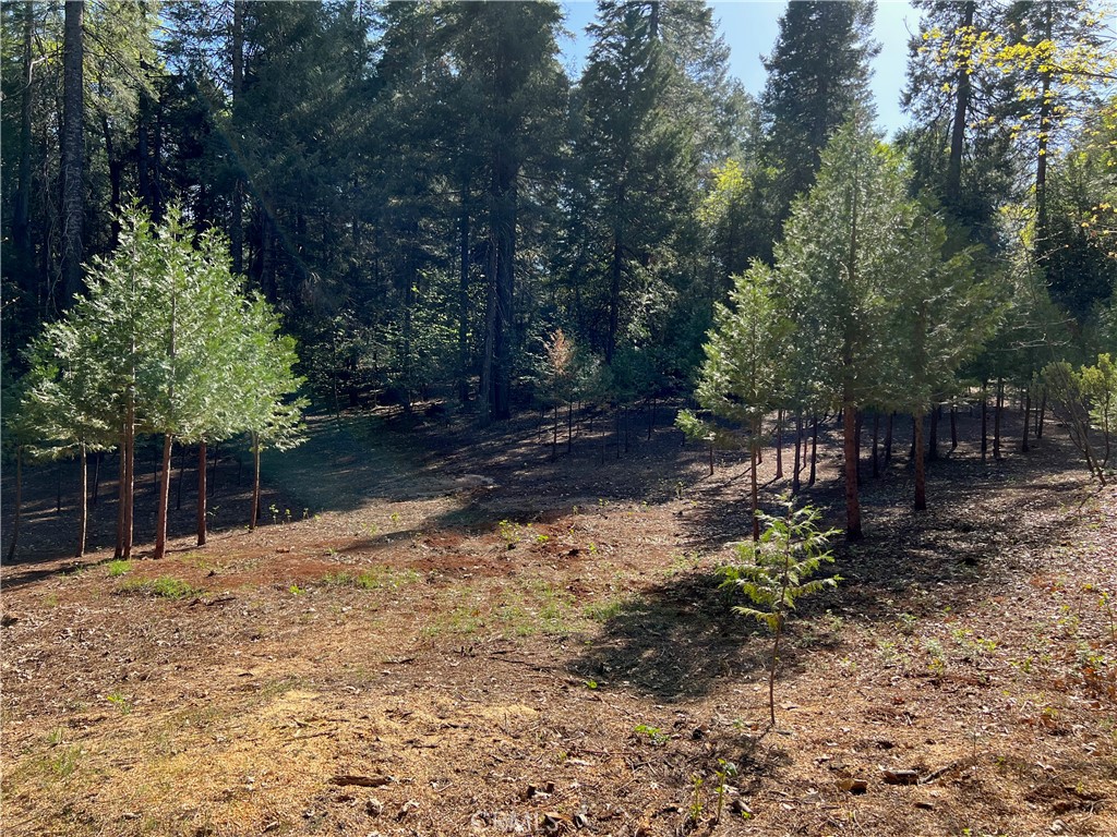 0 Headwaters Road Property Photo 18