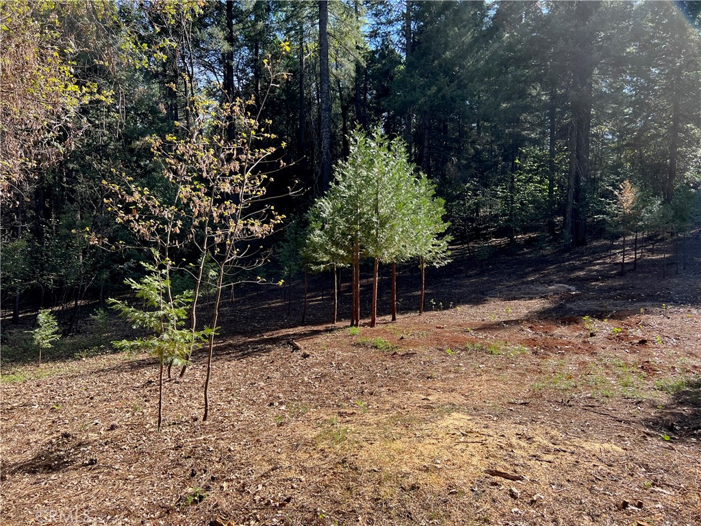 0 Headwaters Road Property Photo 19