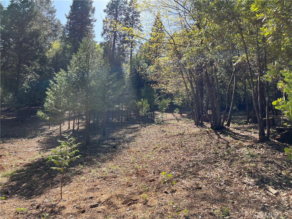 0 Headwaters Road Property Photo 20