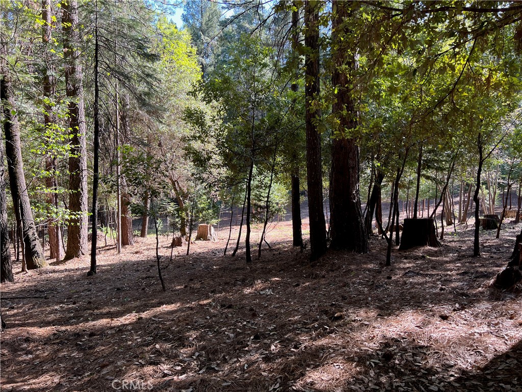 0 Headwaters Road Property Photo 21