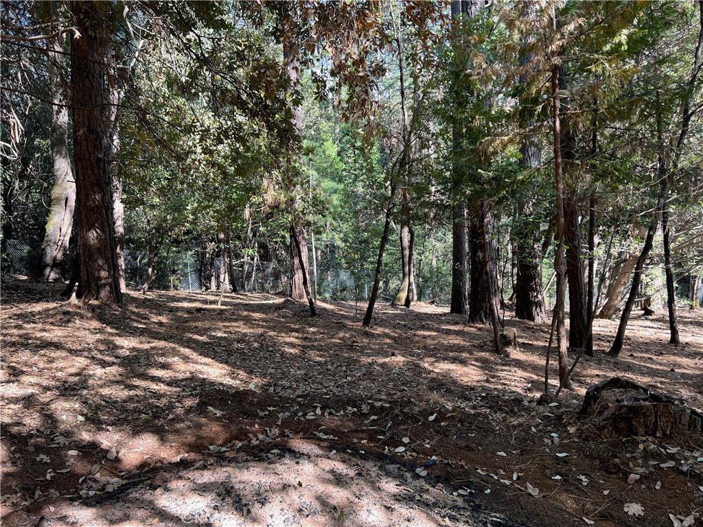 0 Headwaters Road Property Photo 23