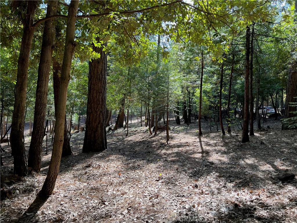 0 Headwaters Road Property Photo 24