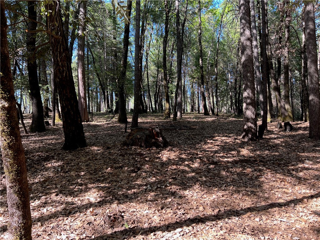 0 Headwaters Road Property Photo 25