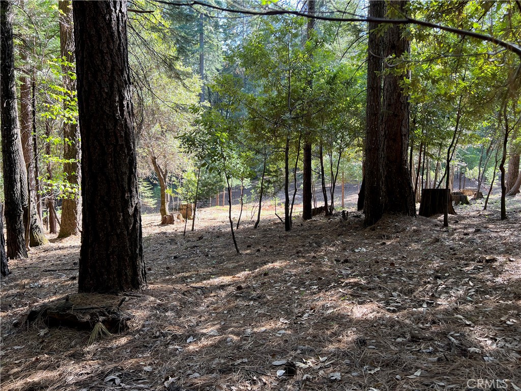 0 Headwaters Road Property Photo 26
