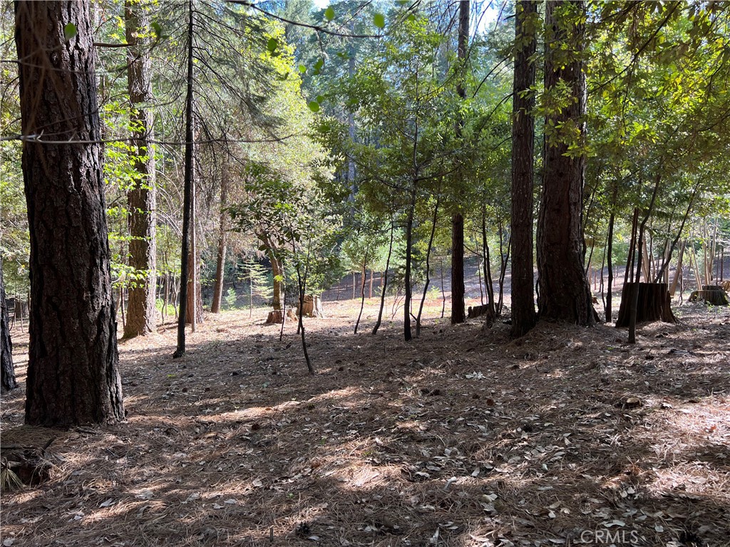 0 Headwaters Road Property Photo 27