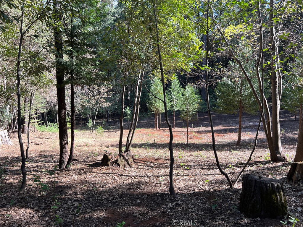 0 Headwaters Road Property Photo 28