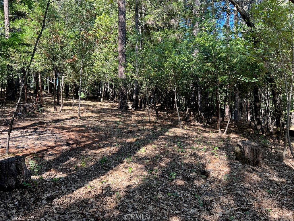 0 Headwaters Road Property Photo 29