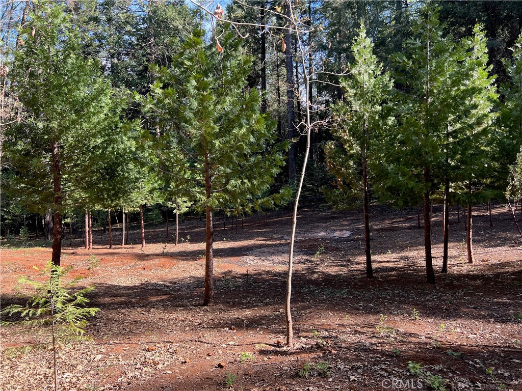 0 Headwaters Road Property Photo 30