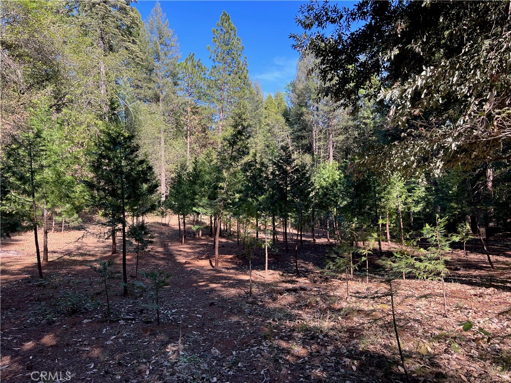 0 Headwaters Road Property Photo 31