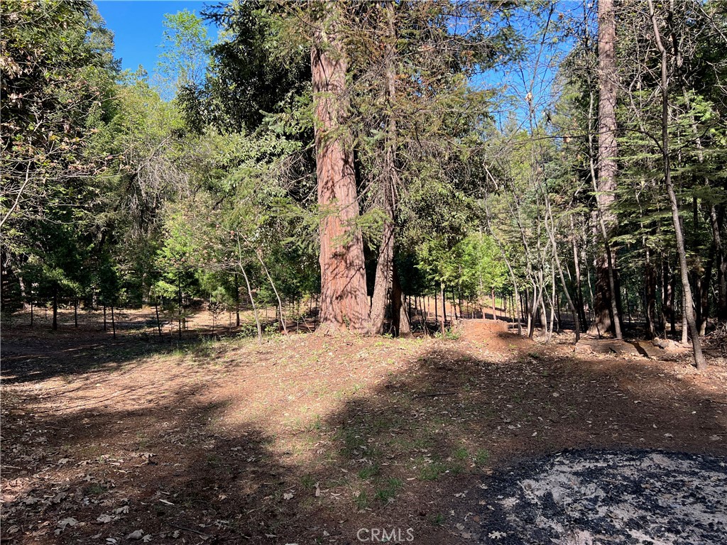 0 Headwaters Road Property Photo 32