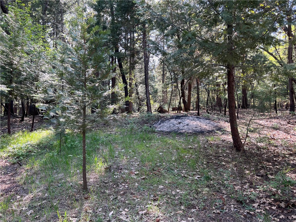 0 Headwaters Road Property Photo 33