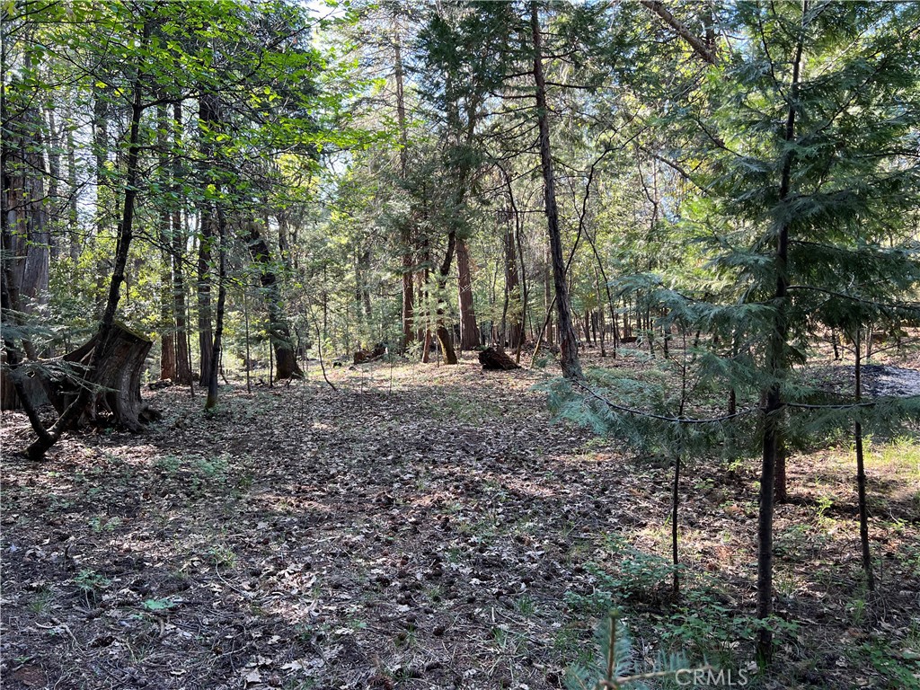 0 Headwaters Road Property Photo 34