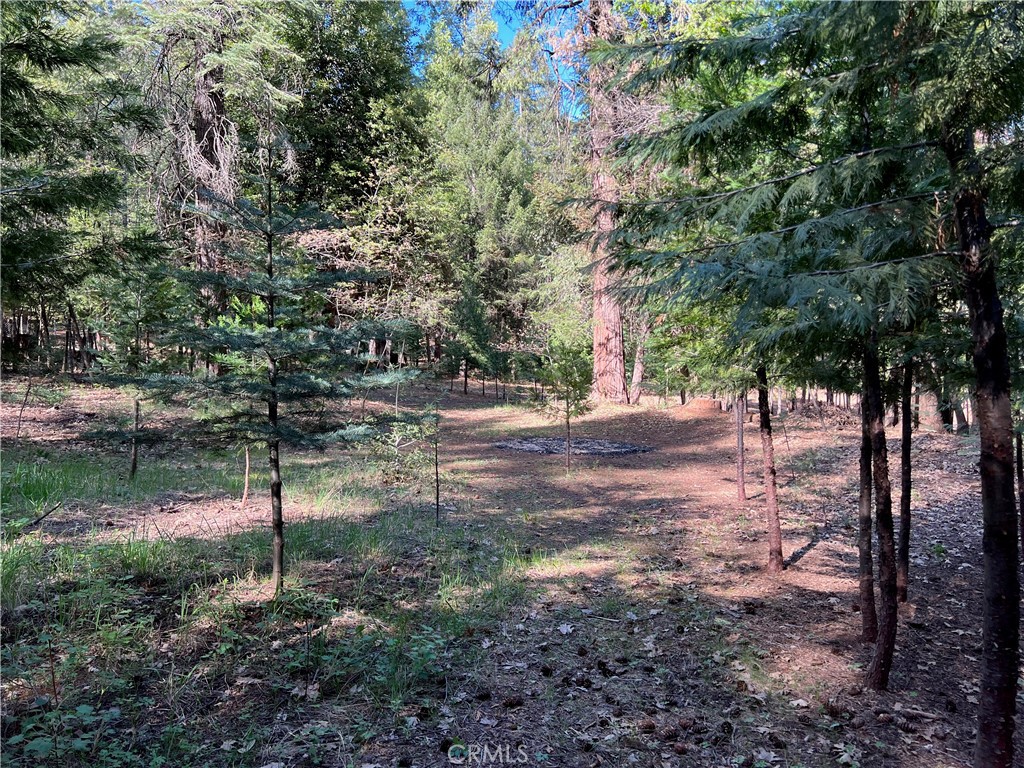 0 Headwaters Road Property Photo 35