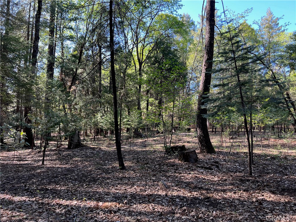 0 Headwaters Road Property Photo 36