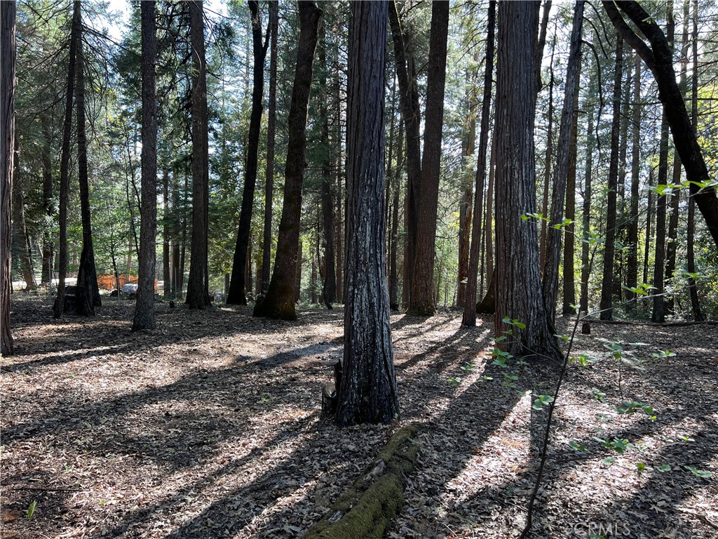 0 Headwaters Road Property Photo 37