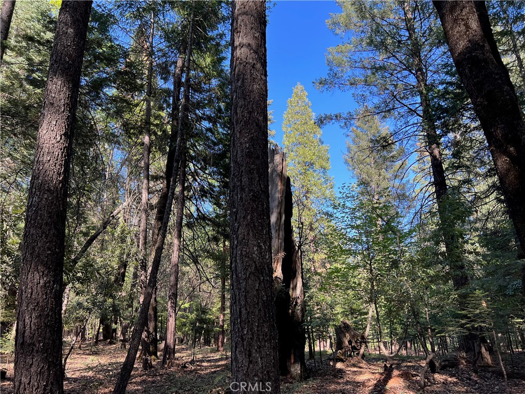 0 Headwaters Road Property Photo 39