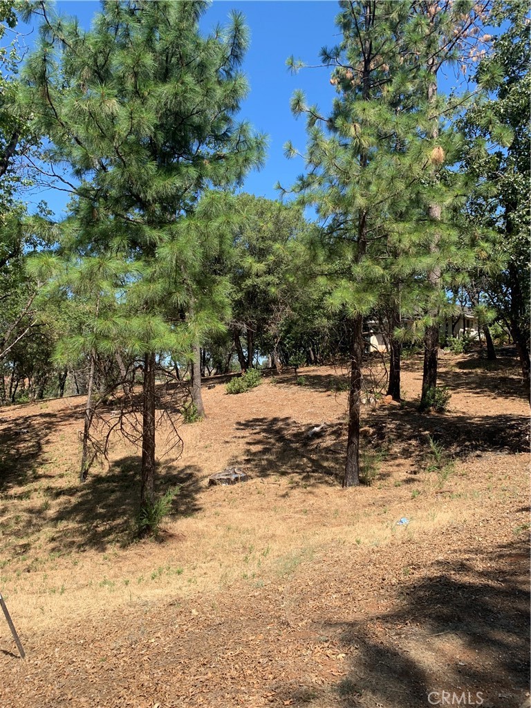 4896 Malibu Drive Property Photo 2