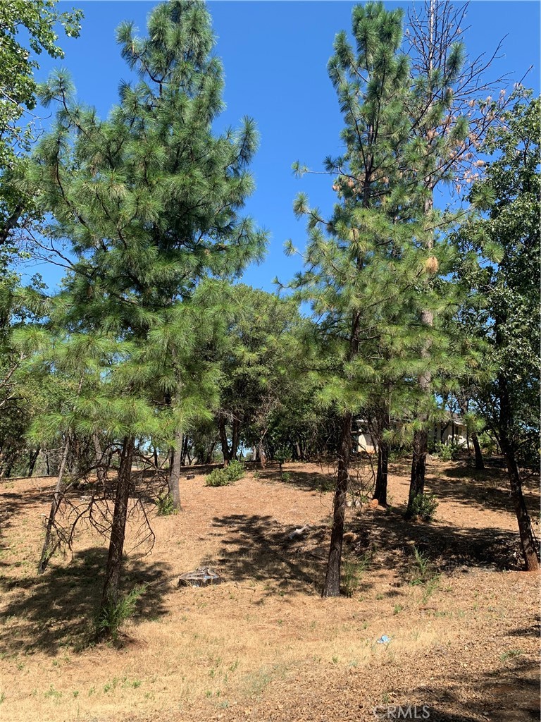 4896 Malibu Drive Property Photo 3