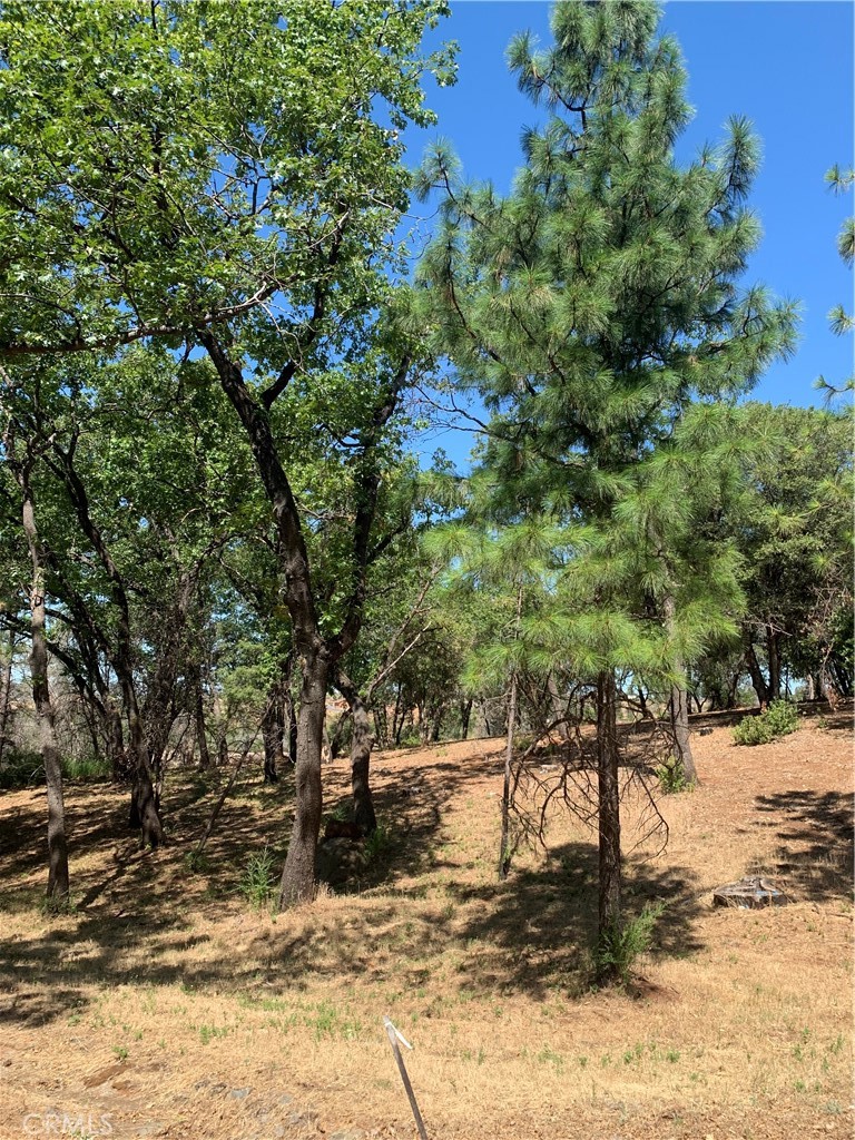 4896 Malibu Drive Property Photo 4