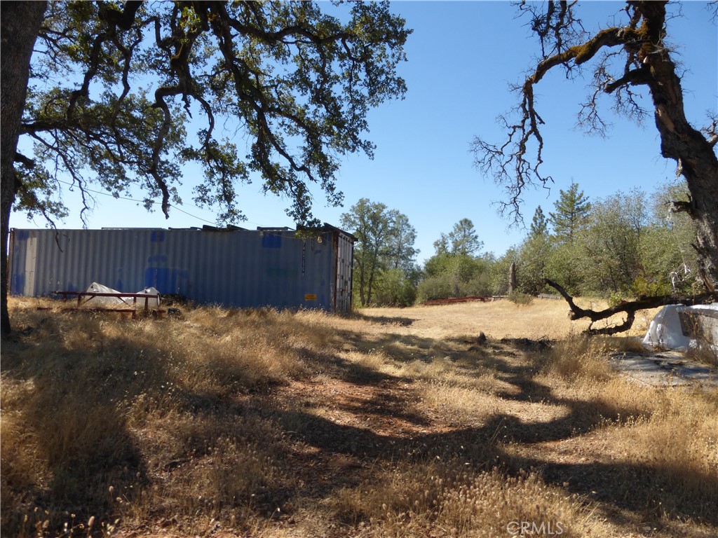 0 Potter Ravine Road Property Photo 8