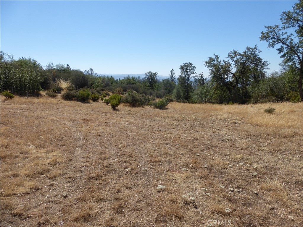 0 Potter Ravine Road Property Photo 17