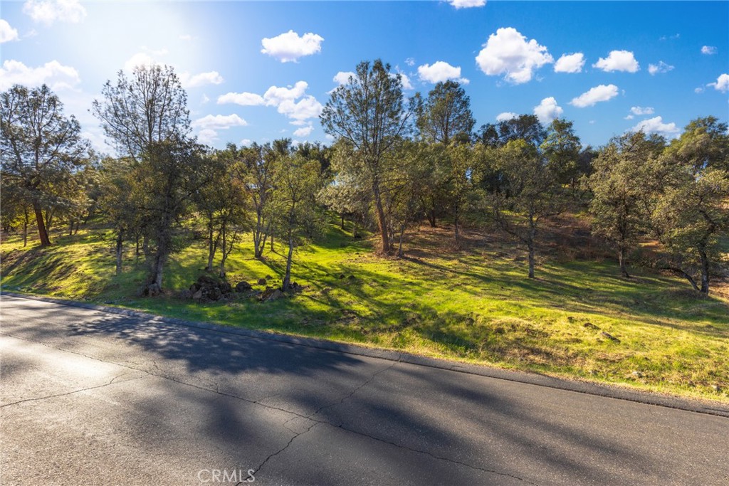 3395 Shallow Springs Property Photo 2