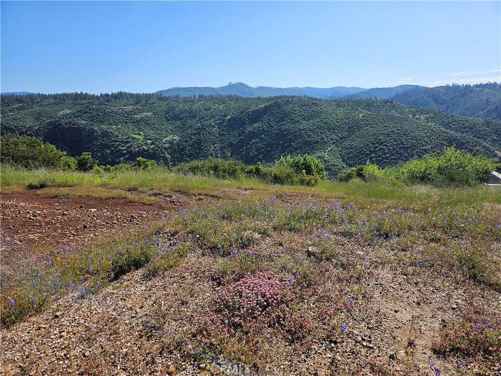 5236 Royal Canyon Lane Property Photo 11
