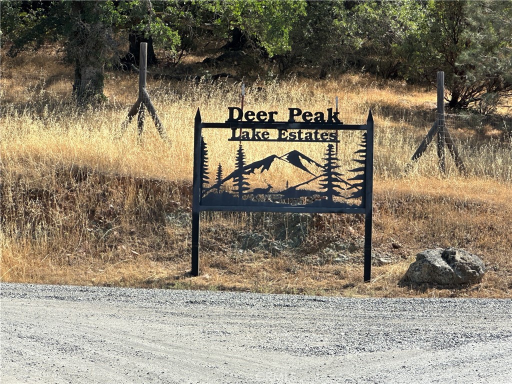 0 Rich Gulch Road Property Photo 6