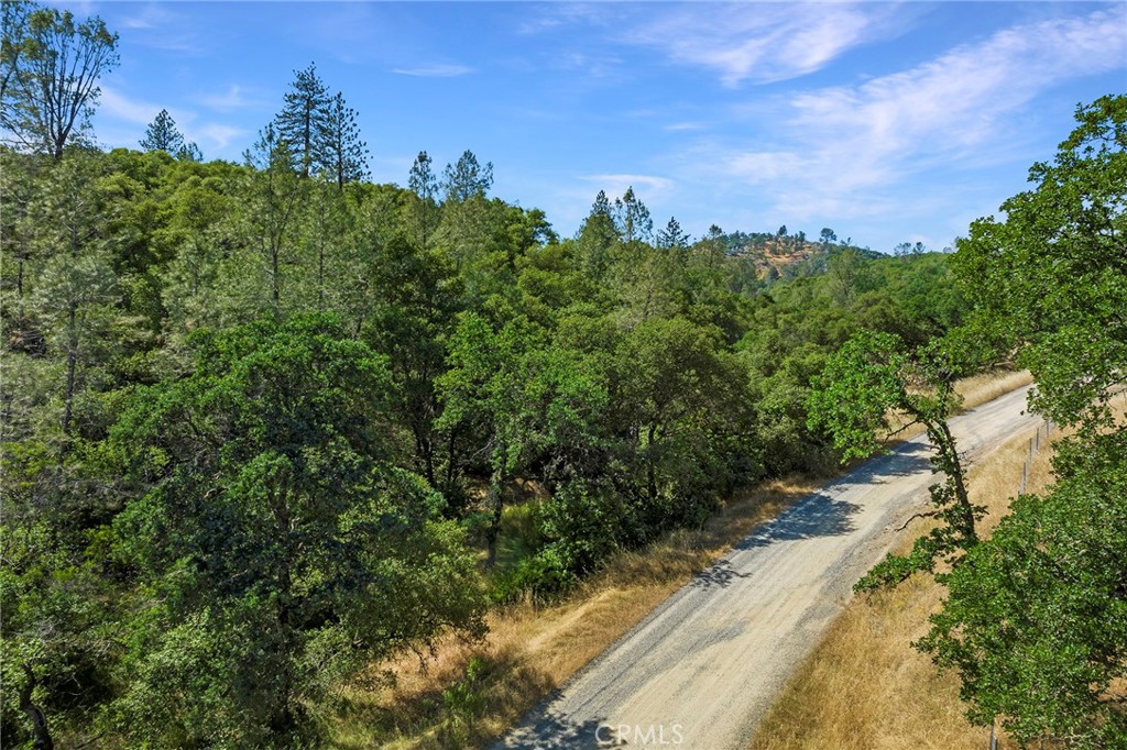 0 Rich Gulch Road Property Photo 7