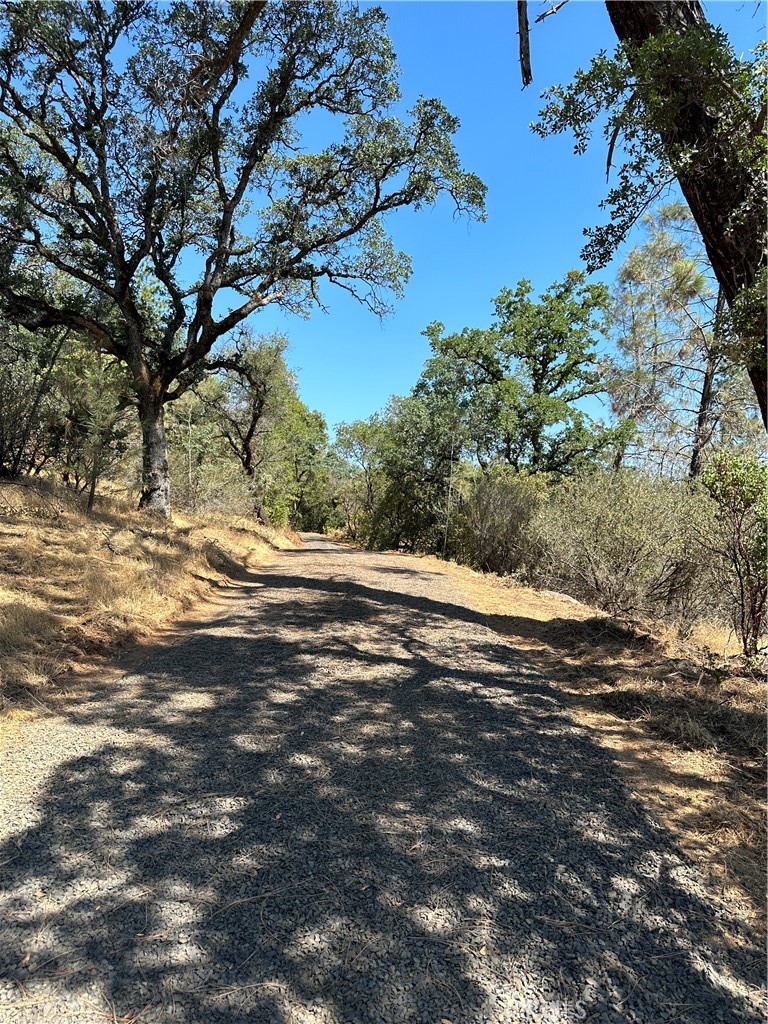 0 Rich Gulch Road Property Photo 9