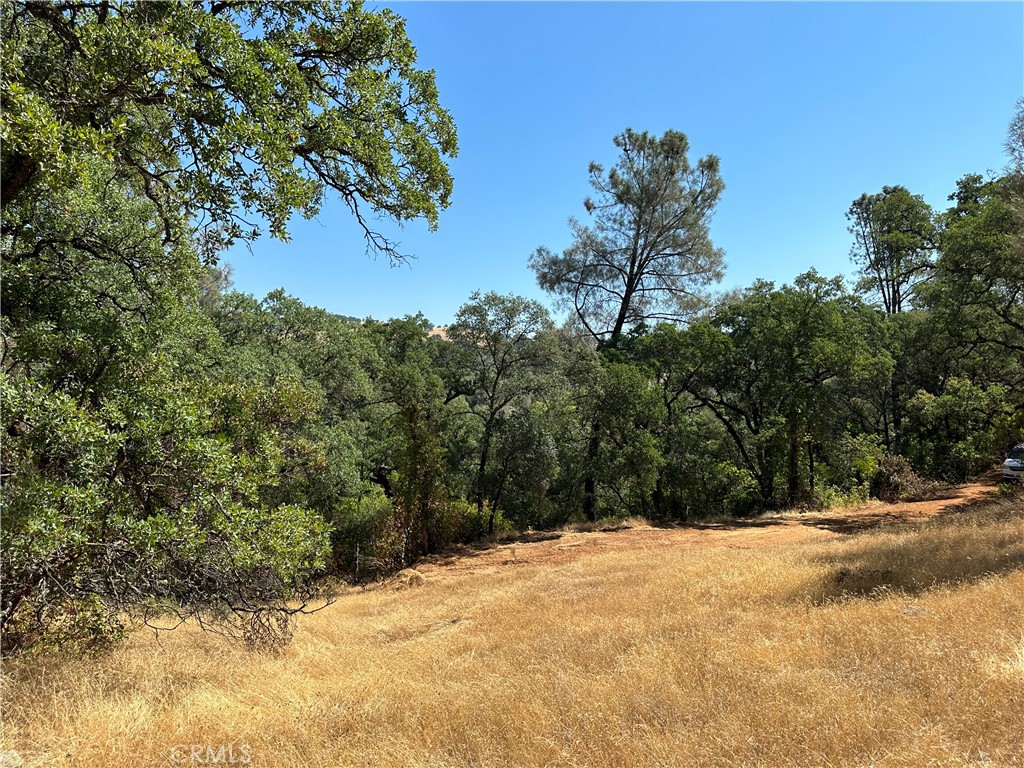 0 Rich Gulch Road Property Photo 10