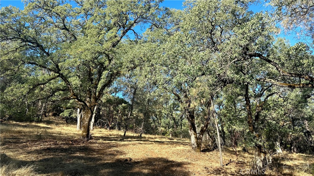 0 Rich Gulch Road Property Photo 11