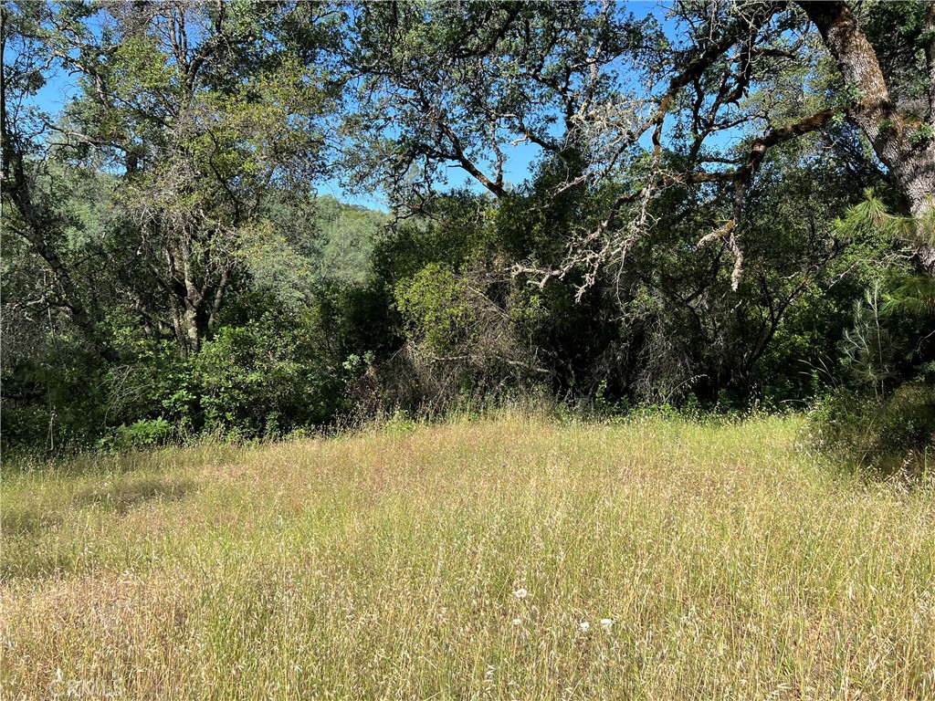 0 Rich Gulch Road Property Photo 12
