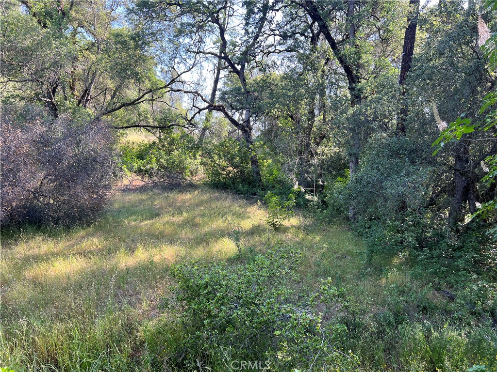 0 Rich Gulch Road Property Photo 14