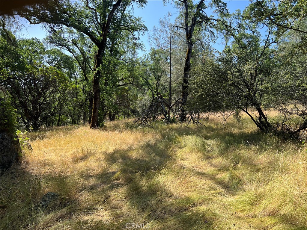 0 Rich Gulch Road Property Photo 15