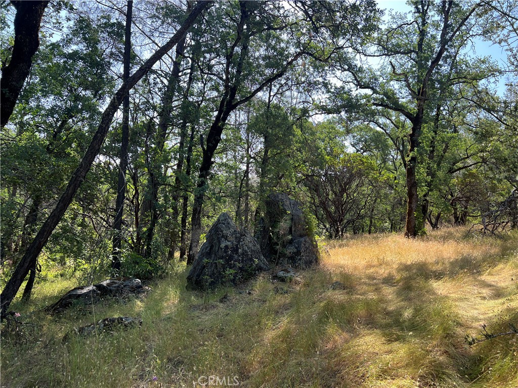 0 Rich Gulch Road Property Photo 16