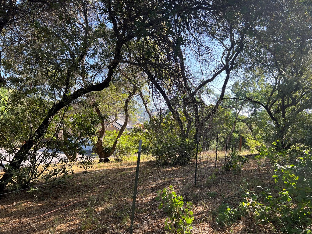 0 Rich Gulch Road Property Photo 17