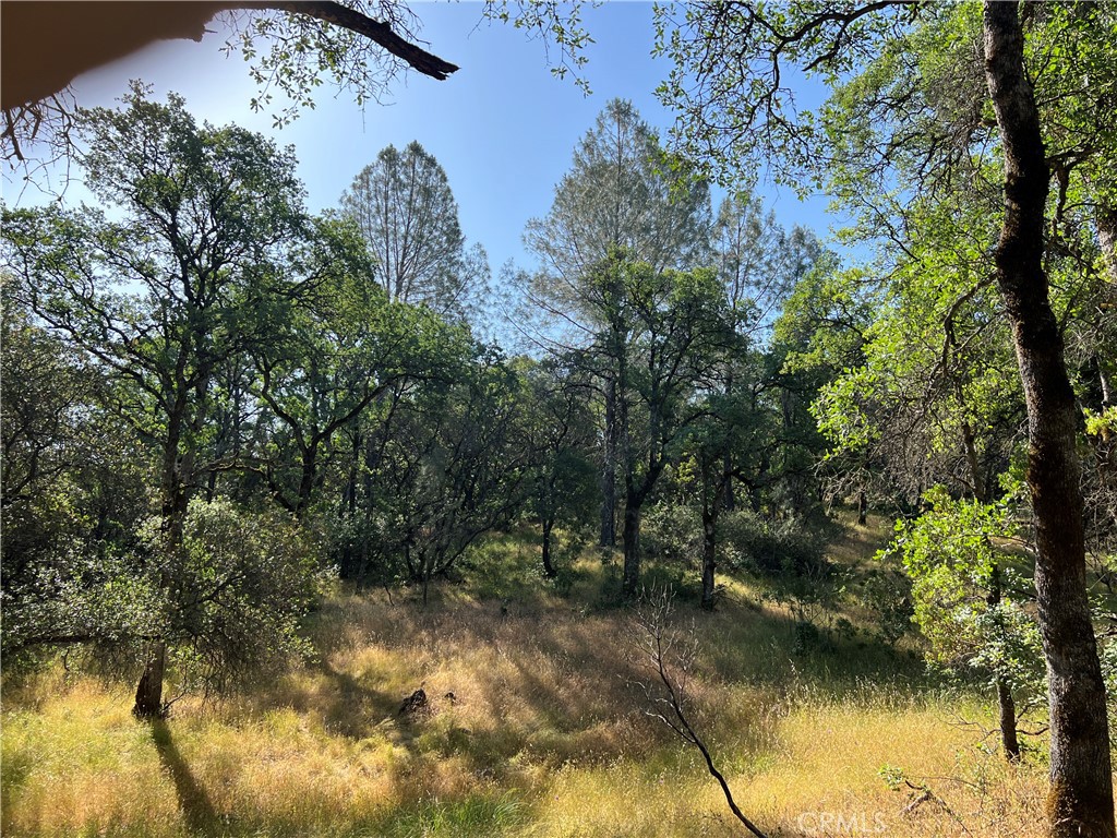 0 Rich Gulch Road Property Photo 18