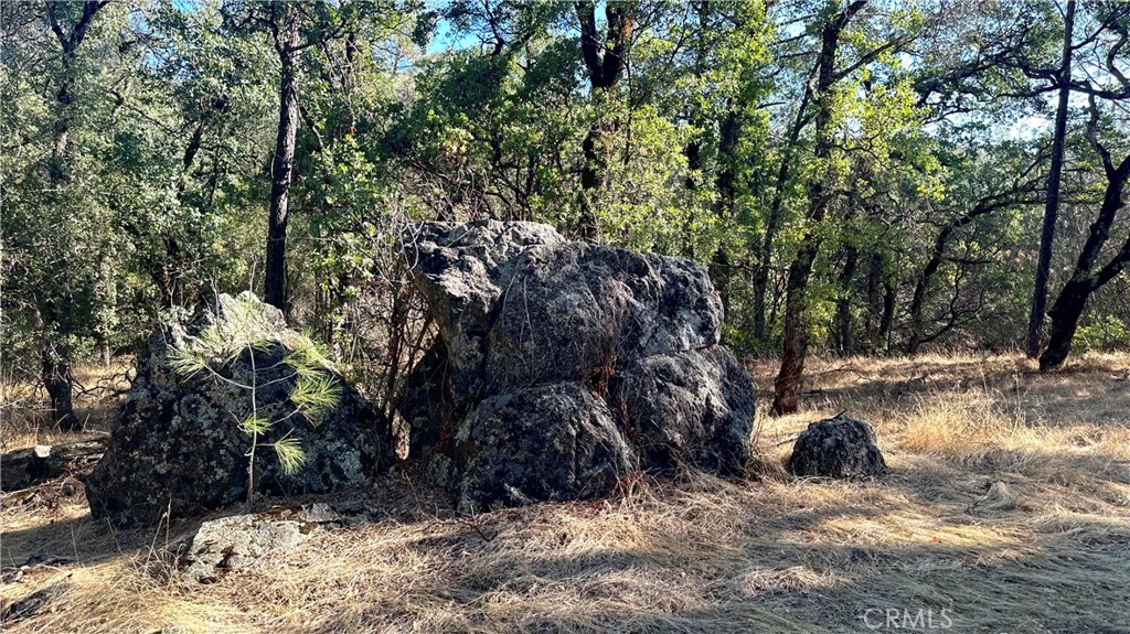 0 Rich Gulch Road Property Photo 19