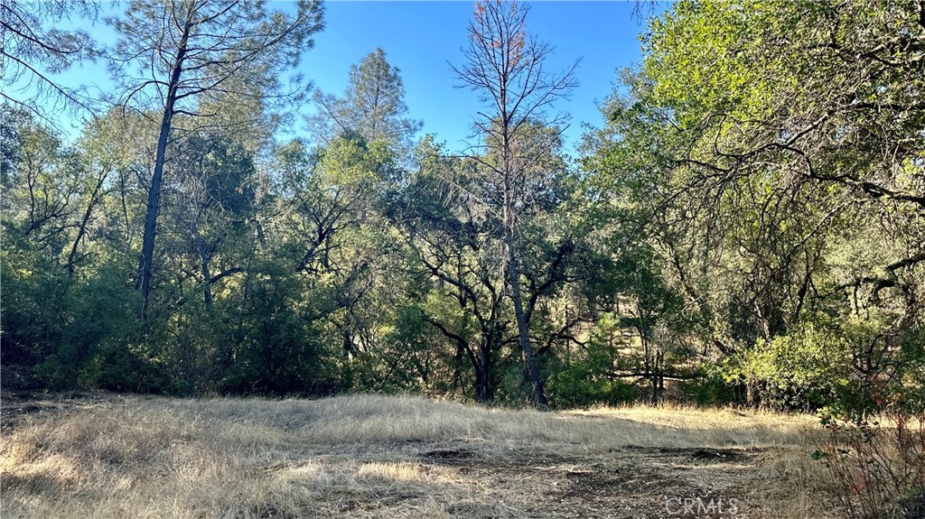0 Rich Gulch Road Property Photo 20