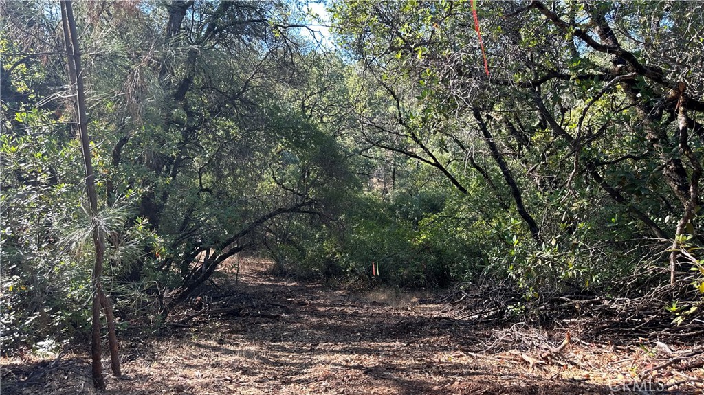 0 Rich Gulch Road Property Photo 21