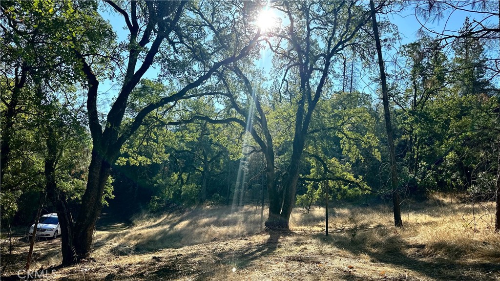 0 Rich Gulch Road Property Photo 22