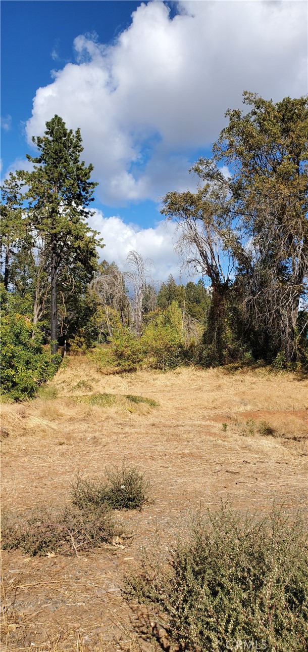 8819 Skyway Property Photo 1