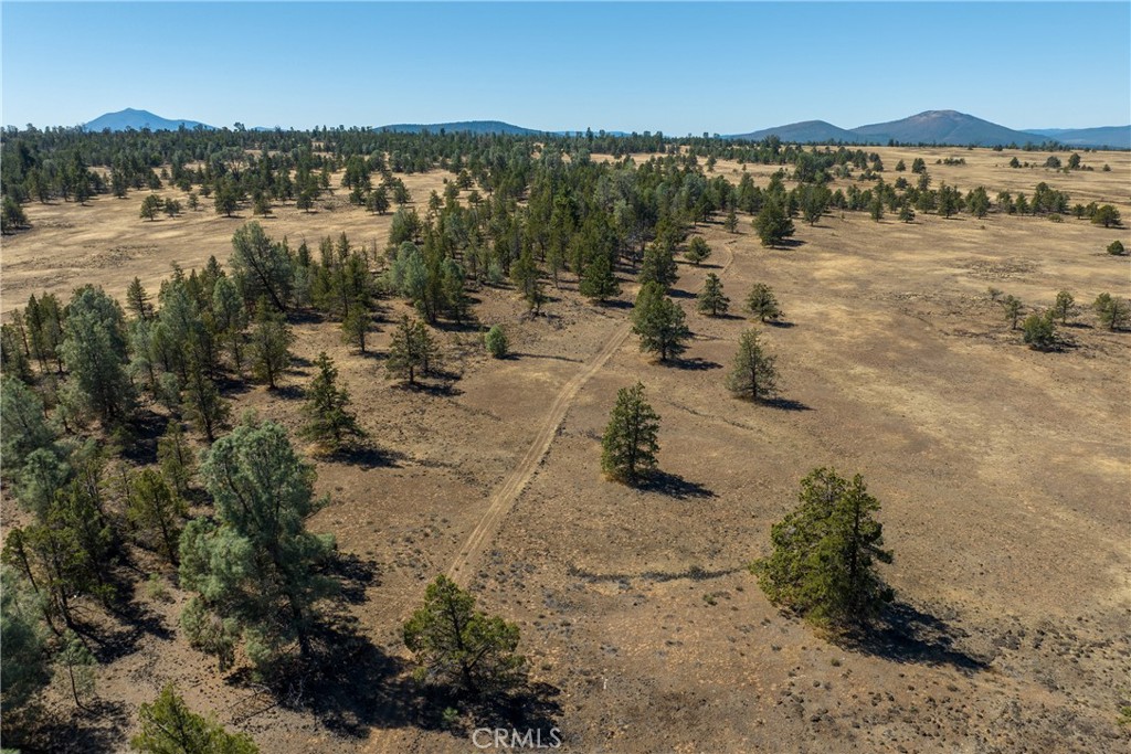 0 Old Highway Road Road Property Photo 6