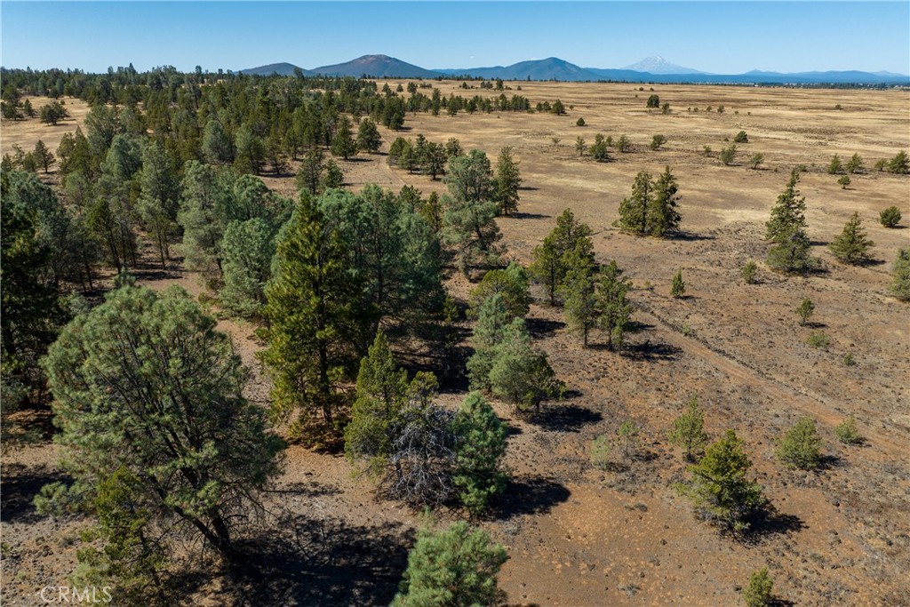 0 Old Highway Road Road Property Photo 8